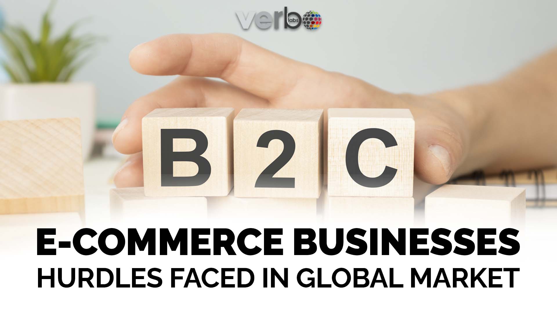 B2C ecommerce business