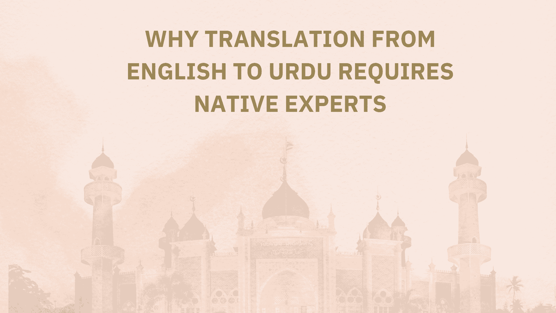 Why Translation from English to Urdu Requires Native Experts