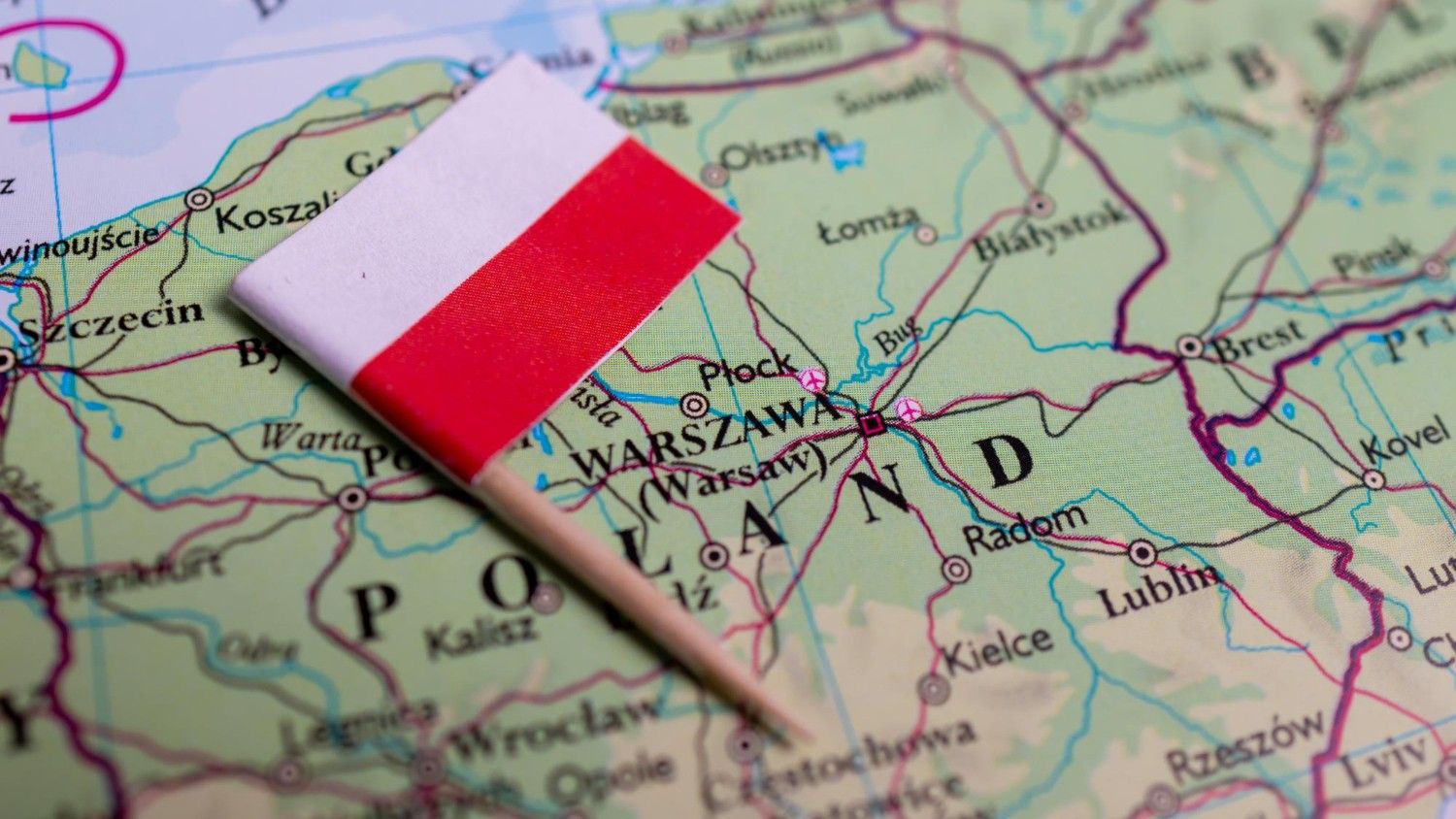 Types of Polish Language Services Businesses Need