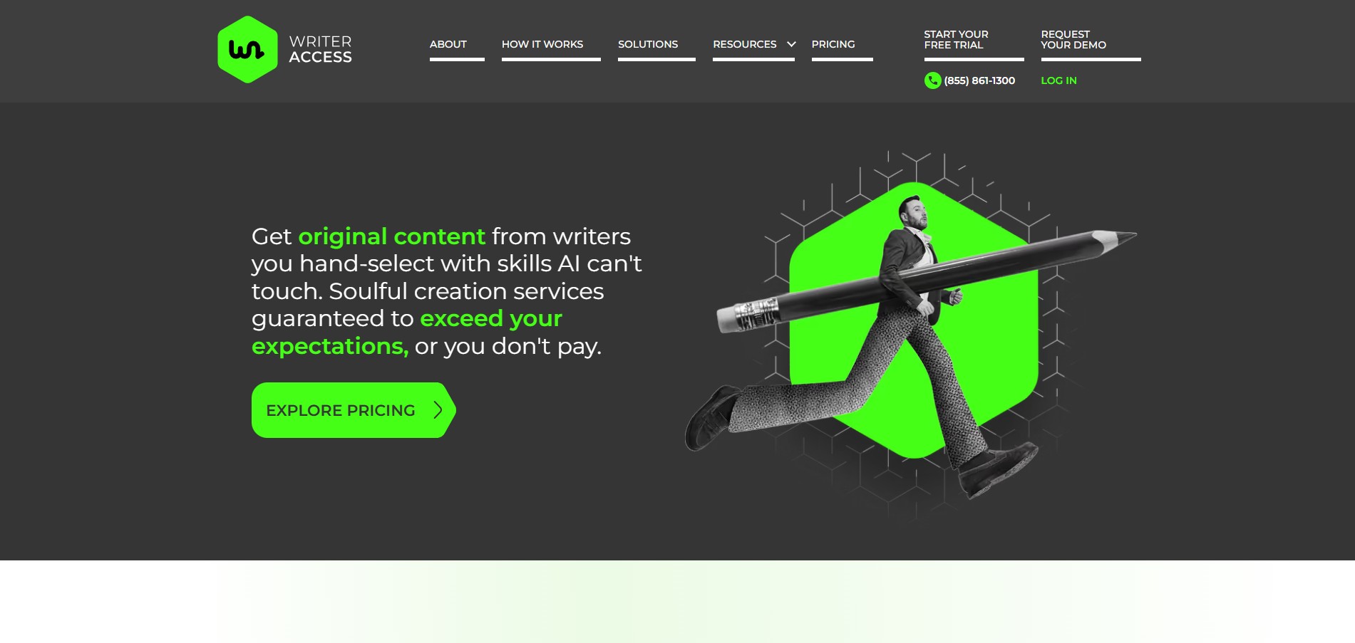 Writer Access content writing services homepage screenshot