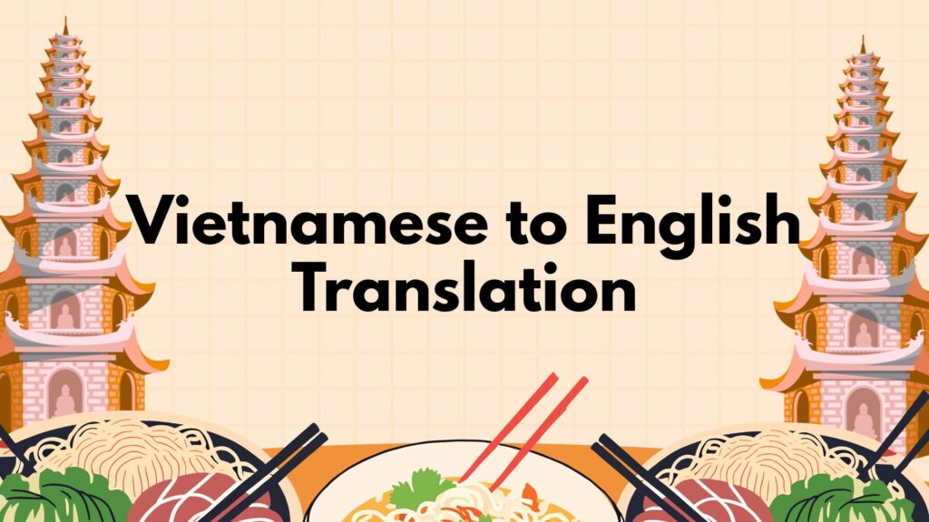 Vietnamese to English Translation